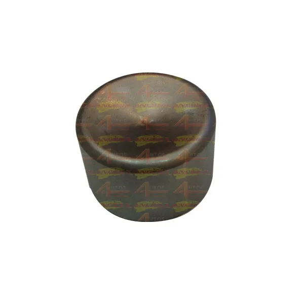 PISTAO PARA REPARO DE PINCA WILWOOD 200-1117