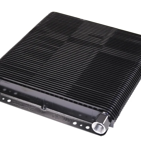 RADIADOR COMPETICAO GRANDE EMPI 00-9265-0